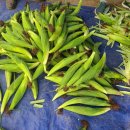 동송농장 이미지