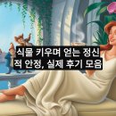 [다이음] 행복이 꽃피는 원예활동 | 식물 키우며 얻는 정신적 안정, 실제 후기 모음