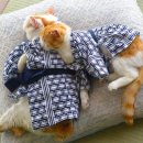 행복여관 이미지