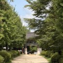 돛골 | 강바람 따라 걸어본 천년의 숨결, 여주 '신륵사'에 왜 '벽절'이라는 별명이 붙었을까? 🌿✨(BAC 역사문화...