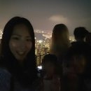 트램라인투어 이미지