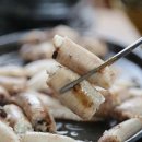 해변짚불곰장어 이미지