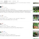 쉐푸드 | 쉐푸드 핫도그 우유 진짜 효과 있을까? 후기 팩트체크