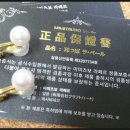 와사비네코