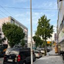 제일고삼거리 | [대전/도마동] 콩국수 맛집 추천 &#39;양평칼국수&#39; 내돈내산 후기