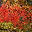 대산초등학교 이미지