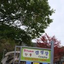 화기애애단풍캠핑장 이미지