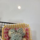 하루댕댕 이미지