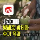 유인방제 | 사과재배 현장교육 병해충 방제와 후기 적과관리