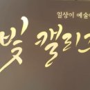 새나빛