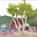 유림농원