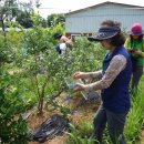 해밀농장 이미지