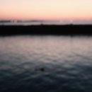 월출밧데리 이미지