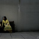 선유도에 물들다 이미지