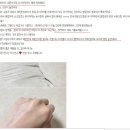 1+1+1 3월 특별 구성 라비어스 무기자차 레몬 선크림