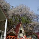 펜션포에버 이미지