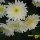 대지의 비상 이미지