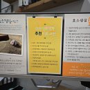 자연발효효소찜질