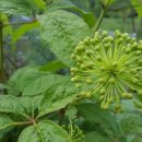 성희농장 이미지