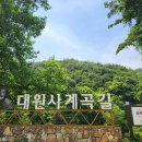 양지-3306 이미지