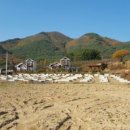 금빛 태양광발전소 이미지