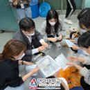 PET119동물병원 네이버블로그