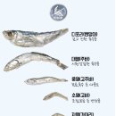 통영바른 씨푸드