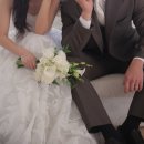 그린화원 - 계양구 효서로 133 | W. 가성비 촬영 부케 추천 영등포 그린화원 내돈내산 솔직후기