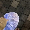 마라톤수산 이미지