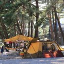 무릉도원면-23 이미지