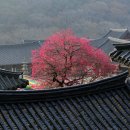 전등약국 이미지