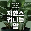 자연에서