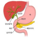 연합외과의원 이미지