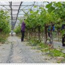 대신동주민센터 이미지