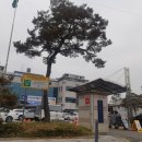 세종특별자치시 조치원읍사무소 이미지