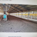 만수양계장 이미지