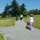 팔봉골프연습장 이미지