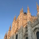 밀라노 안경 | 이탈리아 밀라노 말펜사공항 ees 등록방법 및 실제 입국 후기