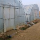 사랑축사 이미지