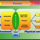 aerobic vs anaerobic 이미지