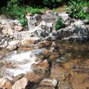 숲속개울가 이미지