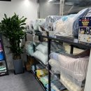 야옹아 멍멍해봐 이미지