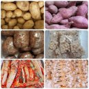 영일사슴 이미지