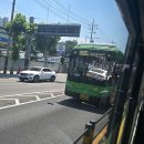 보성운수차고지 맞은편 이미지