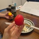 꼬까옷집 | 안산 사동 삼겹살 맛집 [사동냉삼집] 내돈내산 방문 후기