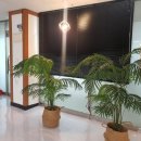 독일보청기 인천점 이미지