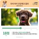 (주)애그리브랜드퓨리나코리아 | 기호성 좋은 강아지사료 퓨리나 원 2주차 미션 - 우리 가족이 달라져요!