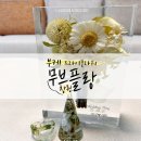 창원 부케 건조 :: 무브플랑 추천 / 부케 캔들, 부케 트레이, 티코스터, 부케 레진아트
