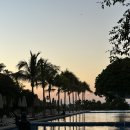 야자수 나라에서 만난 우리 | [뉴욕/칸쿤] 9박 11일 뉴욕 칸쿤 신혼여행 Day 8 💖