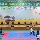 용인대엘리트태권도장 이미지